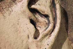 René detalj