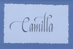 Kort - Camilla 2004