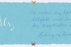 Kort - Fetter Nils 2004