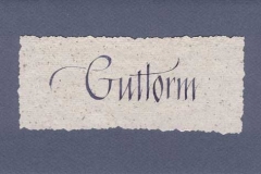 Kort - Guttorm 2004